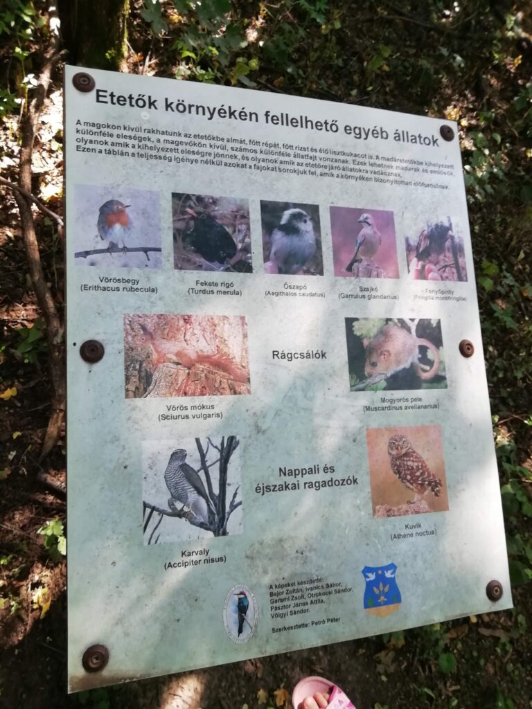 Etetők környékén fellelhető egyéb állatok tábla