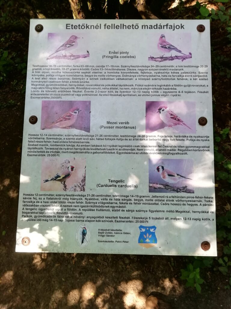 Etetőknél megfigyelhető madárfajok 1. tábla