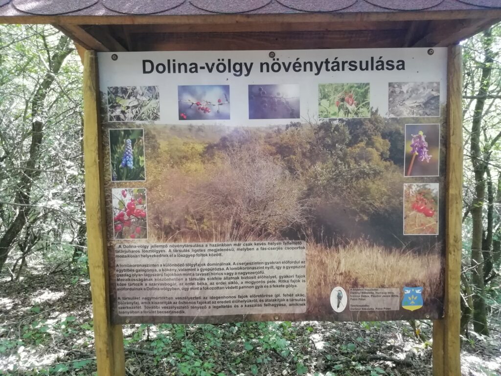 Dolina-völgy növénytársulása tábla