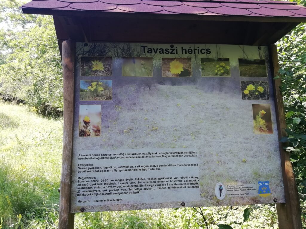 Tavaszi hérics tábla