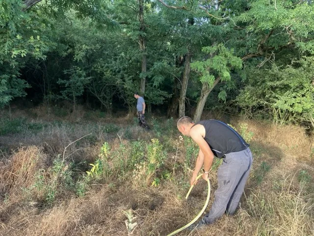 Locsoljuk a facsemetéket locsolócsővel