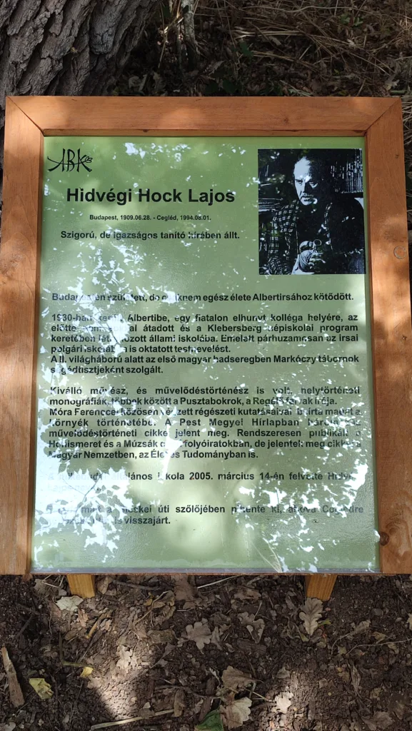 Emléktábla Hidvégi Hock Lajos fája előtt