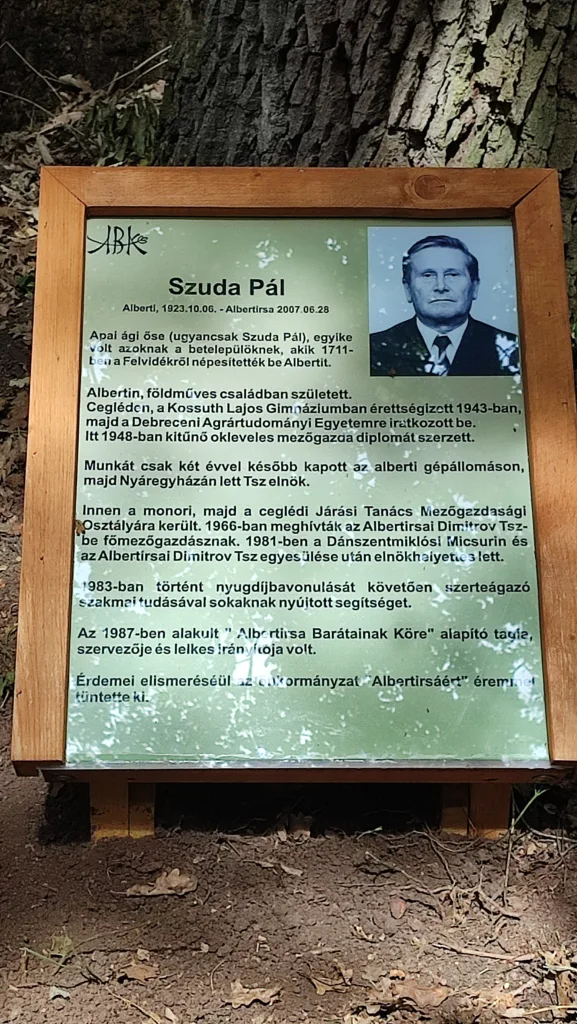 Emléktábla Szuda Pál fája előtt