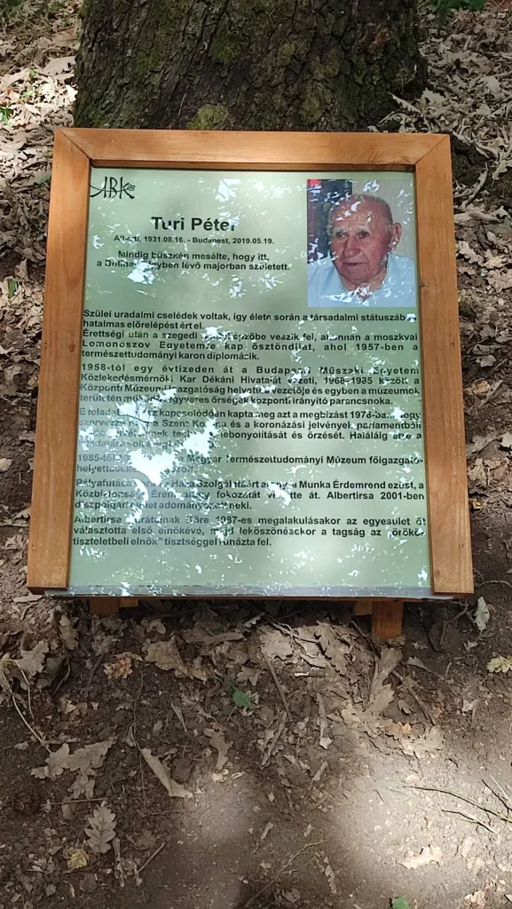 Emléktábla Turi Péter fája előtt