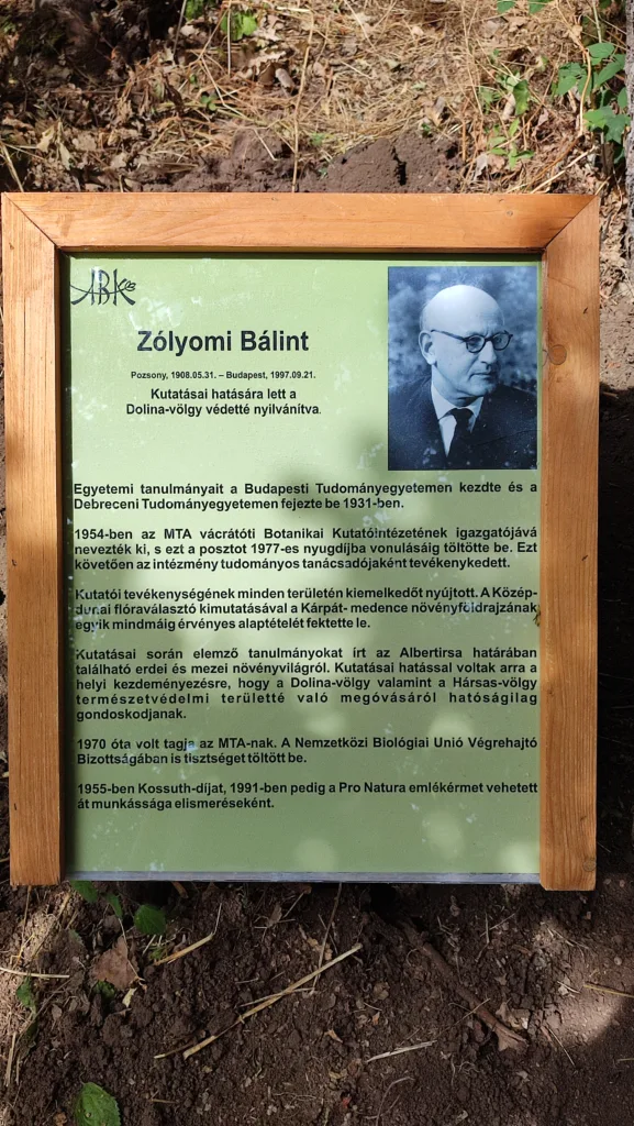Emléktábla Zólyomi Bálint fája előtt