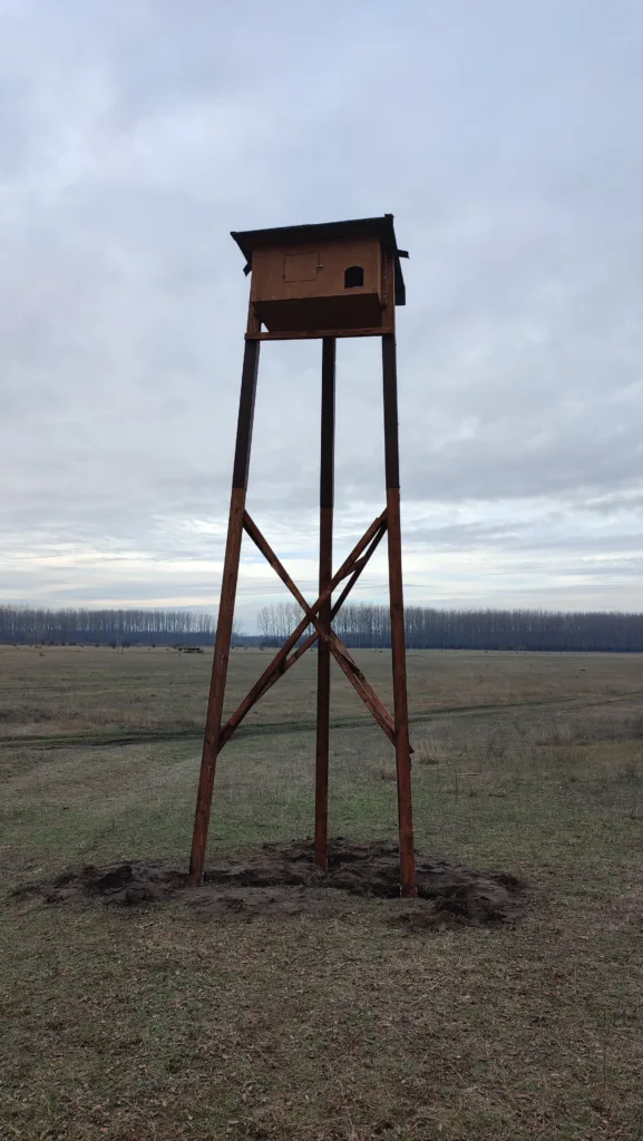Gyöngybagoly költőláda traverzen