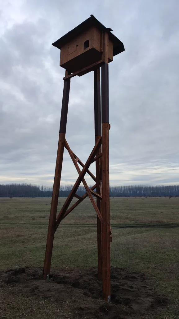 Gyöngybagoly költőláda traverzen