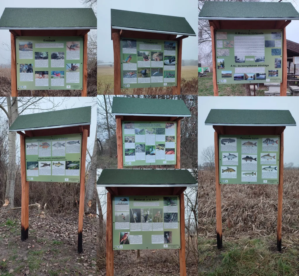 Malom-tó tanösvény