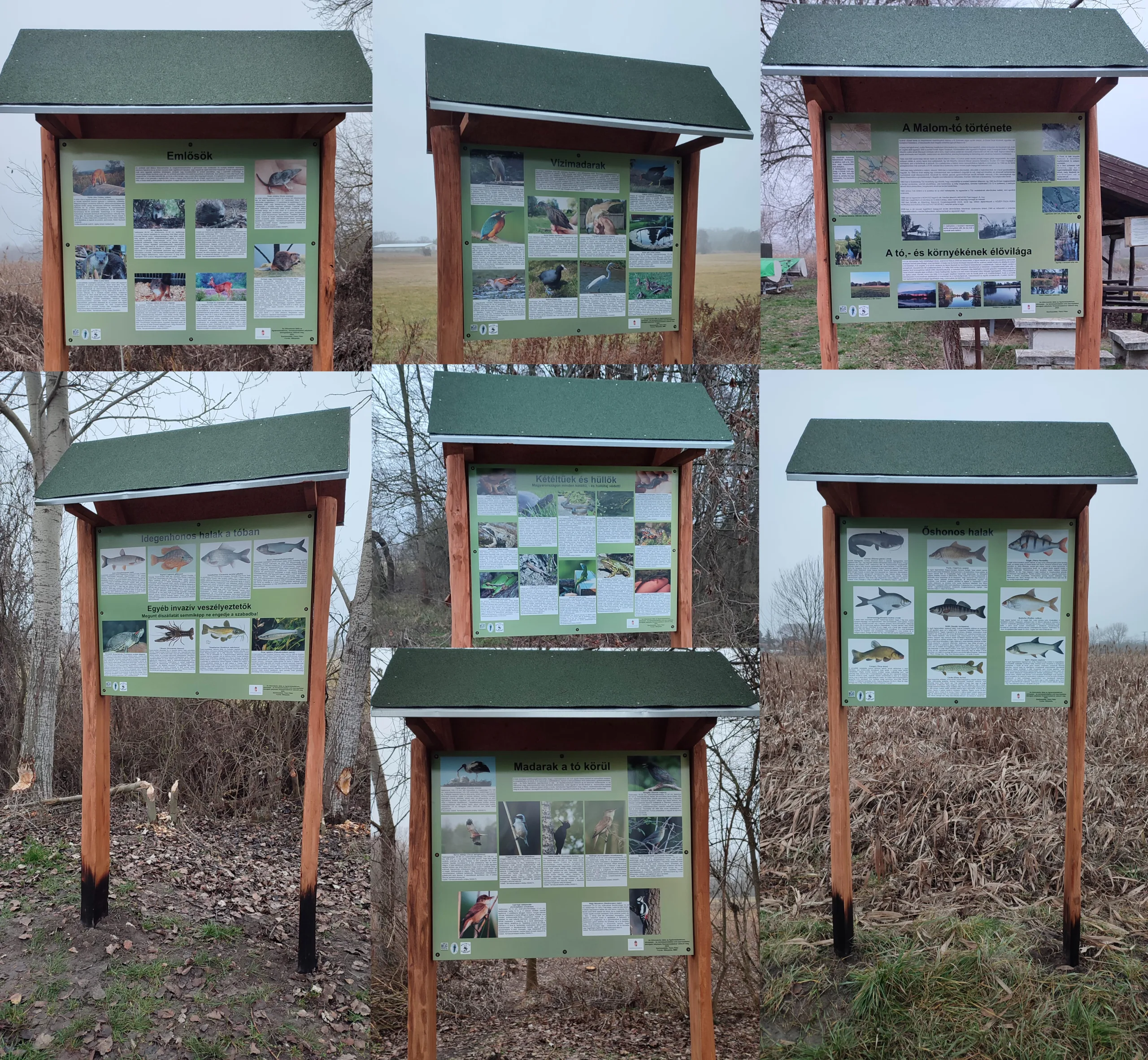 Malom-tó tanösvény