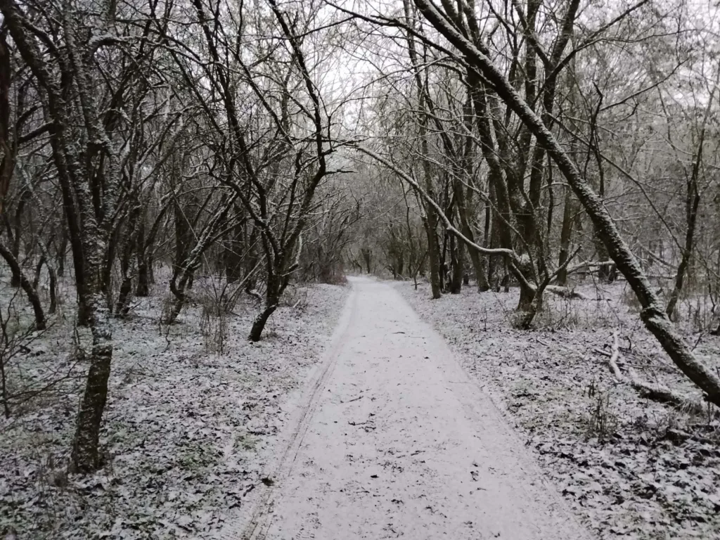 Forralt bor - Újévköszöntő túra 2026