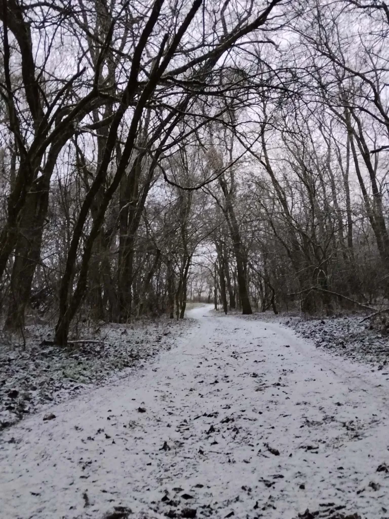 Forralt bor - Újévköszöntő túra 2026