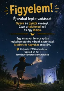 Lepkevadászat